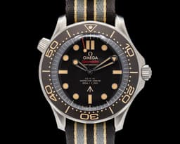 Seamaster Diver 300M 007 Titanium 42MM