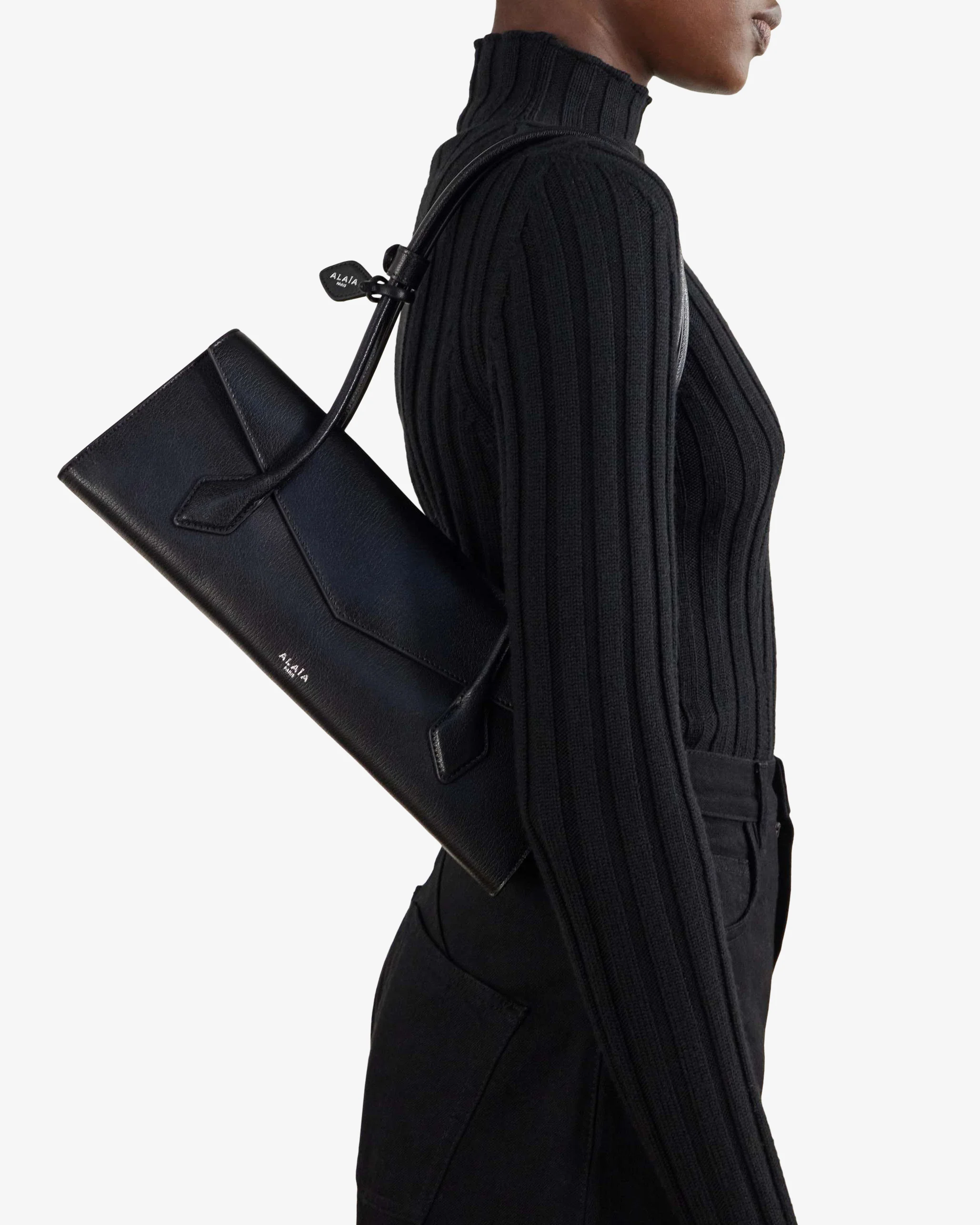 Le teckel flap medium leather bag