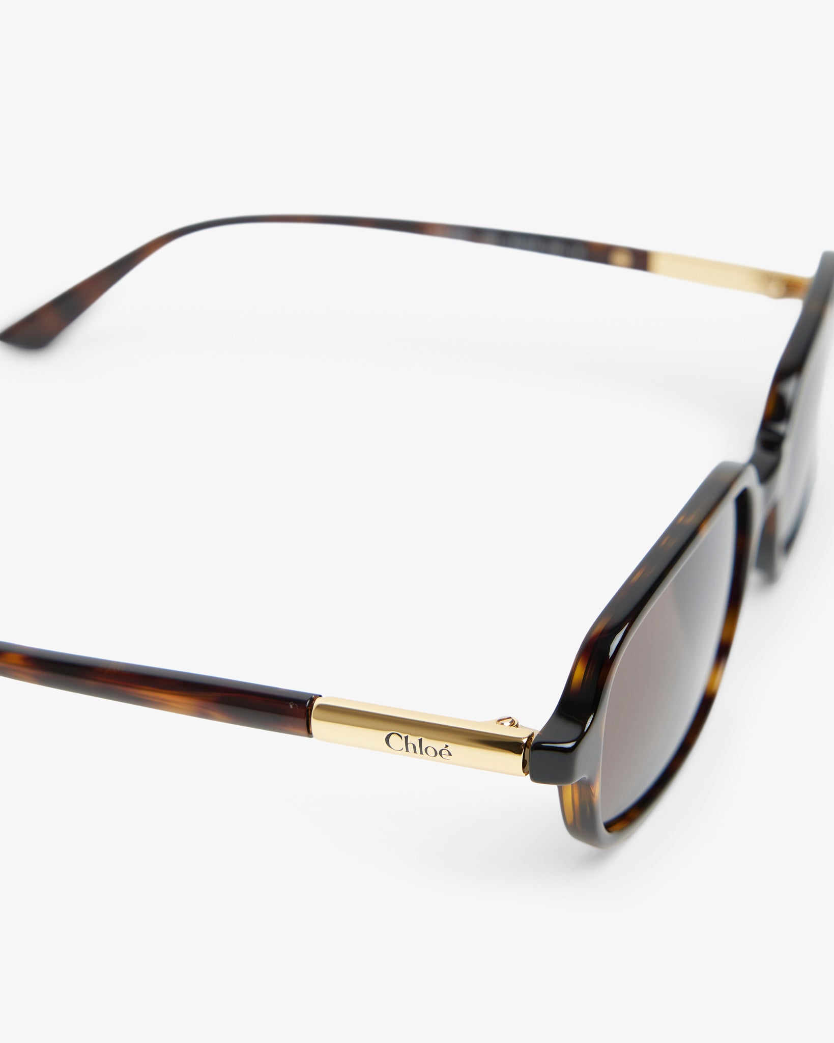 Judy havana brown sunglasses
