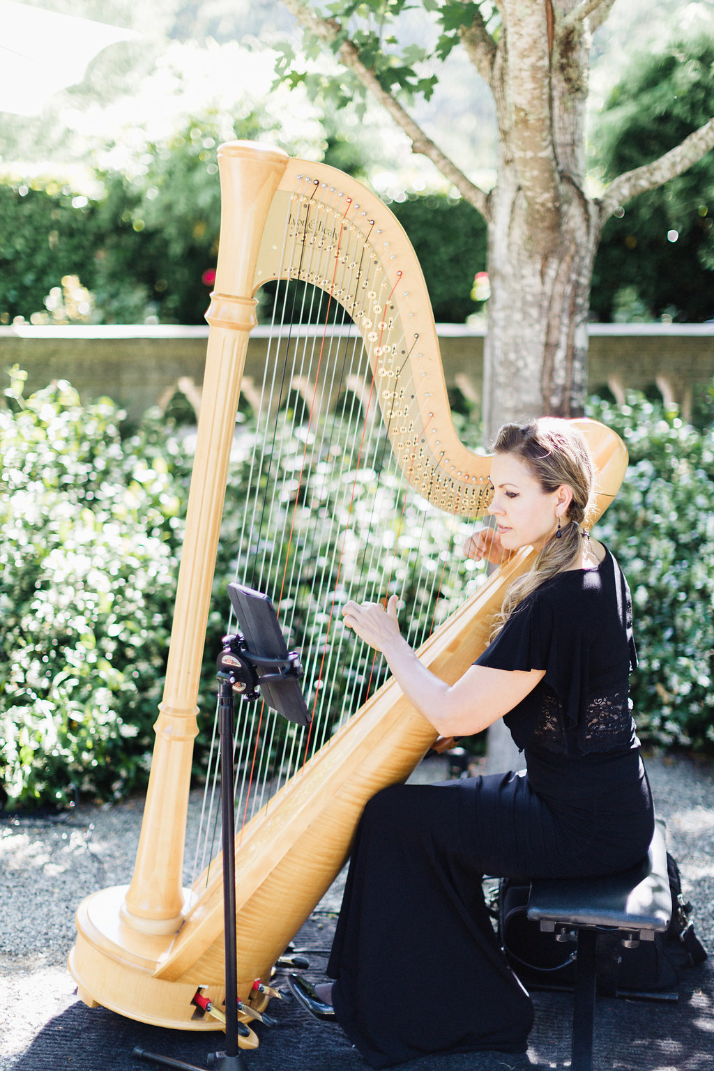 Best Luxury Designers Handbags Blogger Top Quality Luxury Handbag Shop shares a photo of their harpist, Krista Strader 